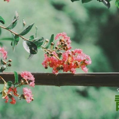 幸运彩票最新app