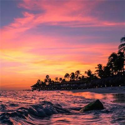 三亿体育app平台