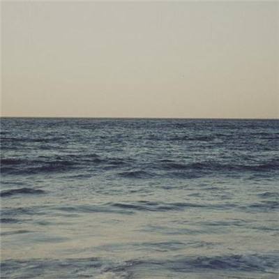 星空官方网站下载app