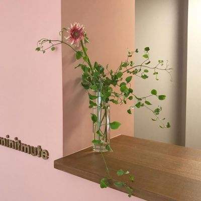 AG大厅网址手机app下载