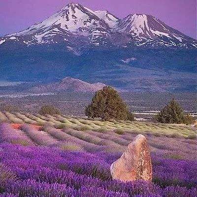 银河棋牌手机app下载