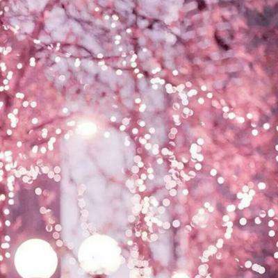 PG麻将胡了免费版